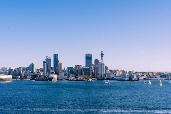 Singles in Auckland: view of the city