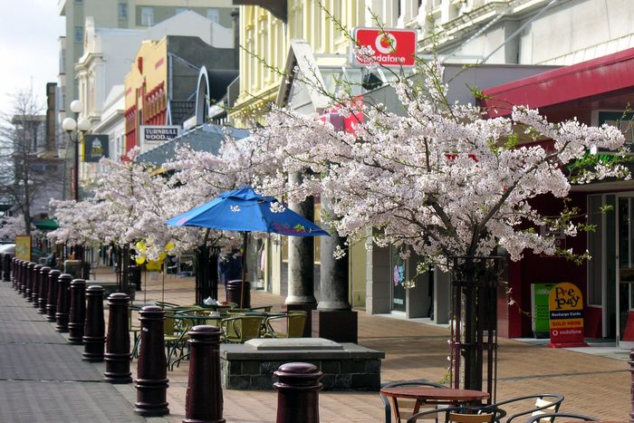 Singles in Invercargill: view of the city