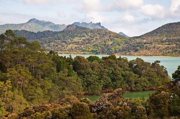 Singles in Northland: view of the city