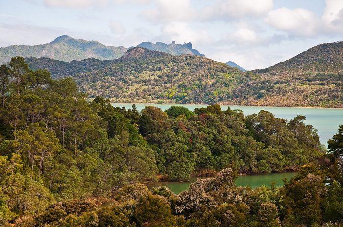 Singles in Northland: view of the city