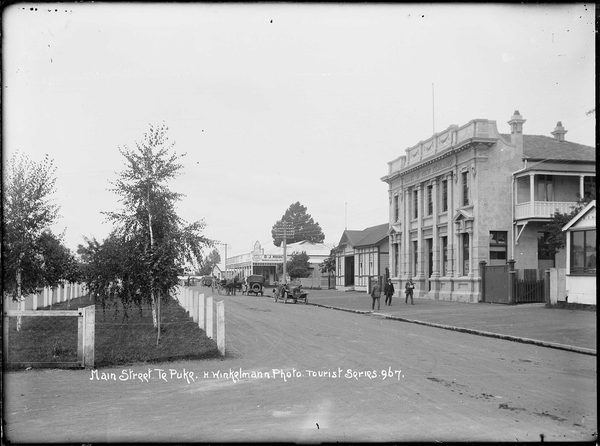 Singles in Te Puke: view of the city