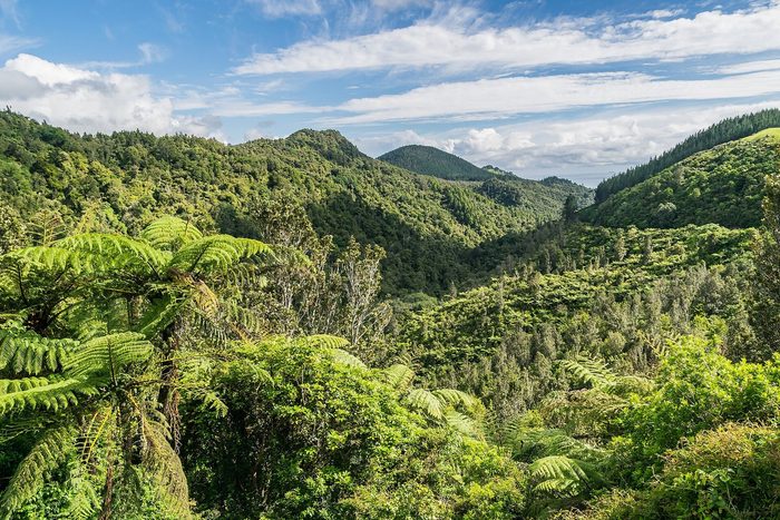 Singles in Waikato: view of the city