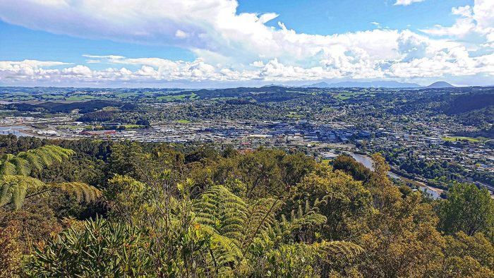Singles in Whangarei: view of the city