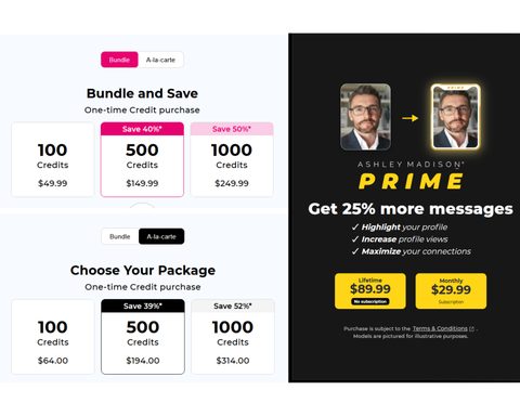 Screenshot of the Ashley Madison prices