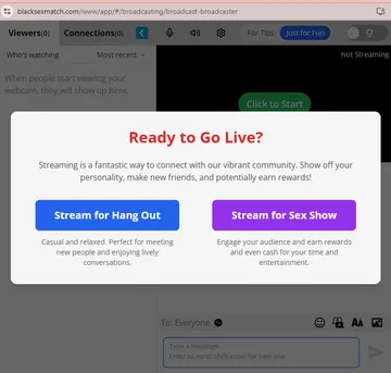 Screenshot of the Black Sex Match website
