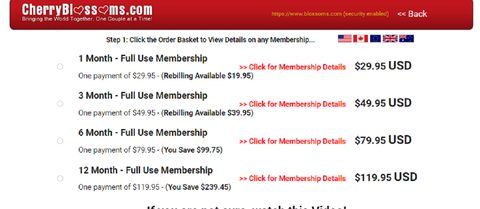 Screenshot of the Blossoms prices