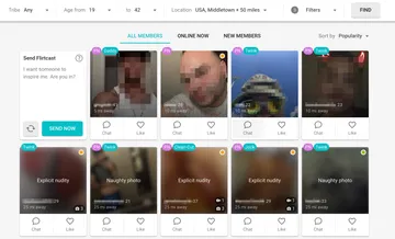 Screenshot of the BuddyGays website