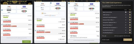Screenshot of the CAM4 prices