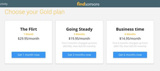 Screenshot of the FindSomeone prices