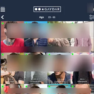 Screenshot of the Gaydar website