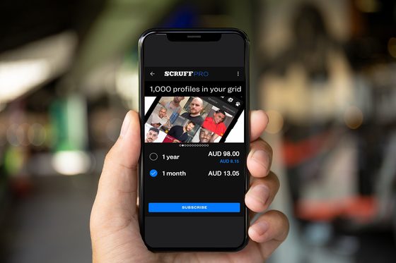 Screenshot of the Scruff prices
