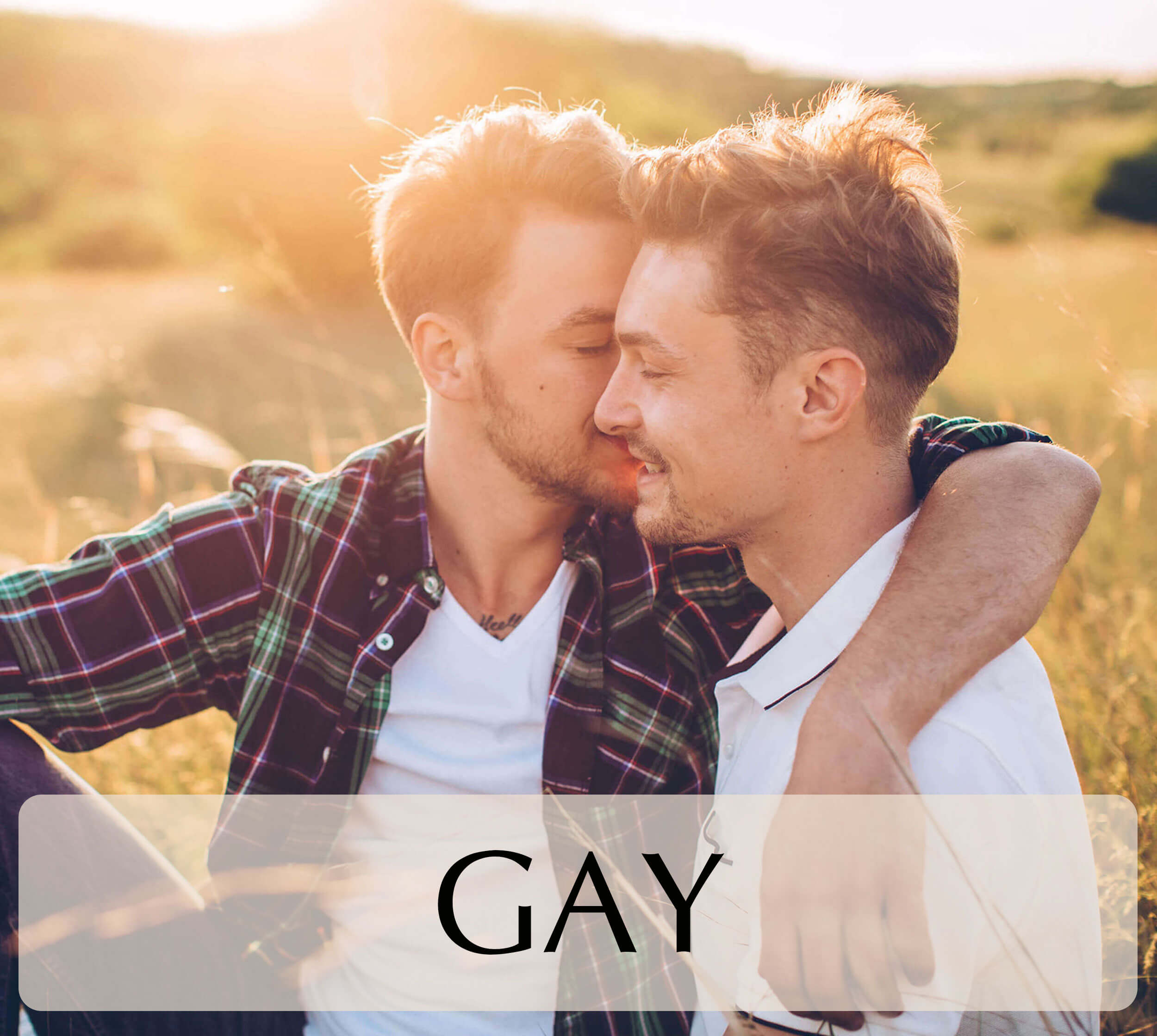 Online dating NZ gay