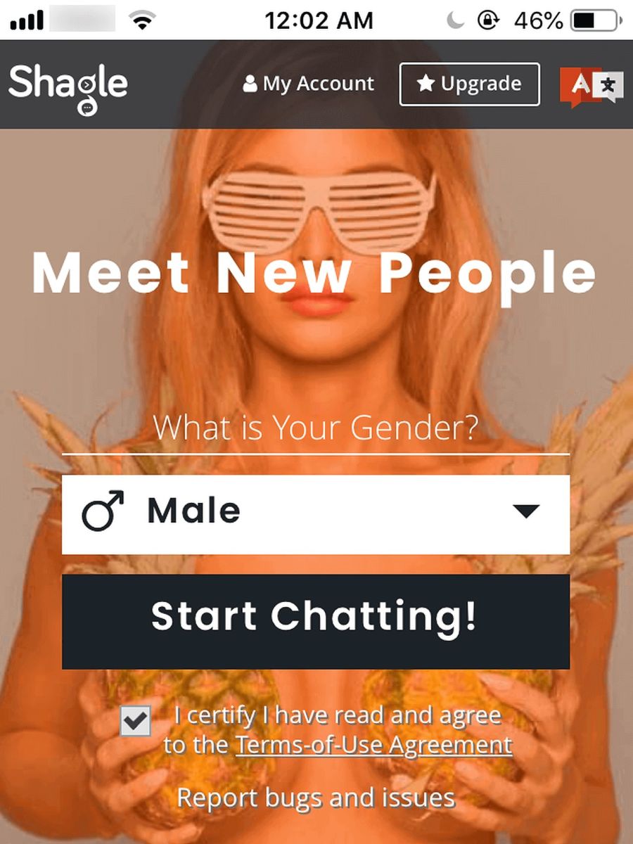 Shagle Review January 2024 Hot Chats or Not? DatingScout